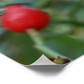 Poster de la hanche rose Automne Phto (Coin)