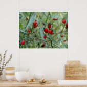 Poster de la hanche rose Automne Phto (Cuisine)