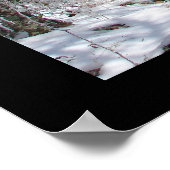 Poster de la hutte de neige des sources chaudes (Coin)