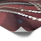 Poster de la jolie dame (Coin)