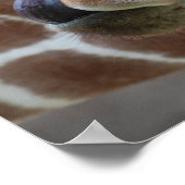Poster de la langue de la girafe (Coin)