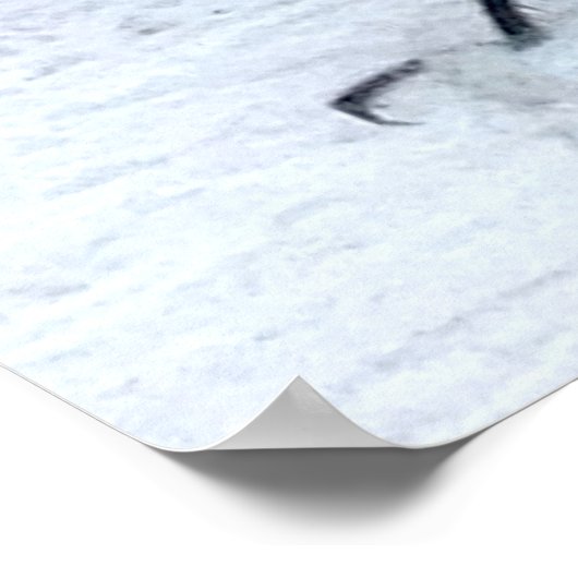 Poster de la libellule bleue (Coin)