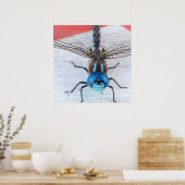 Poster de la libellule bleue (Cuisine)