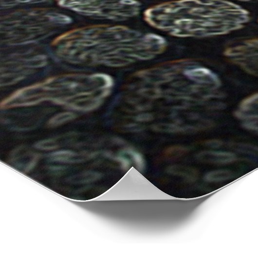 Poster de la libellule en vol (Coin)