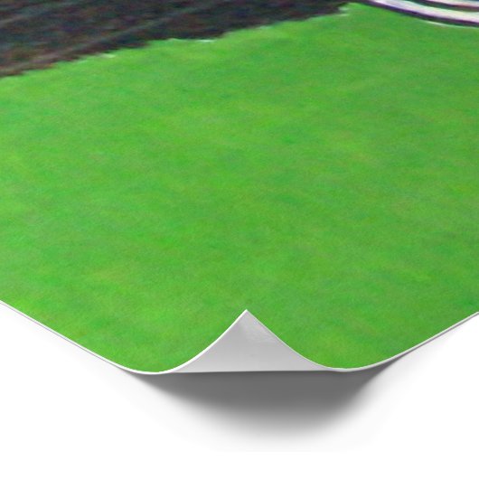 Poster de la licorne magique (Coin)