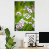 Poster de la ligne de beauté (Bureau à domicile)