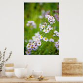 Poster de la ligne de beauté (Cuisine)