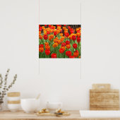 Poster De La Lollipop Tulipes Rouge Et Orange (Cuisine)
