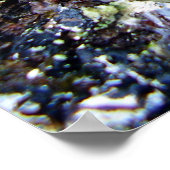 Poster de la luge gris cendré (Coin)