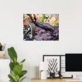 Poster de la luge gris cendré (Bureau à domicile)