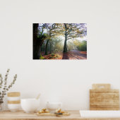 Poster de la lumière de forêt (Cuisine)