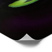 Poster de la lune fantôme (Coin)