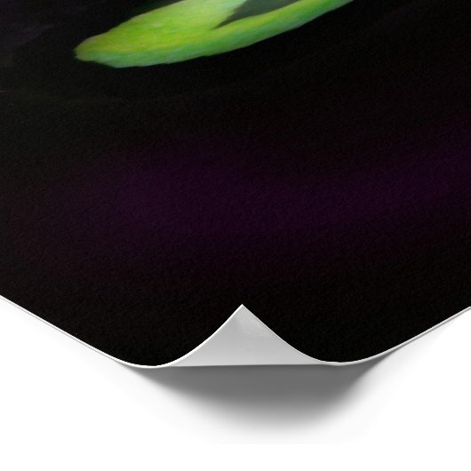 Poster de la lune fantôme (Coin)