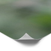 Poster de la macro de la bouteille verte (Coin)