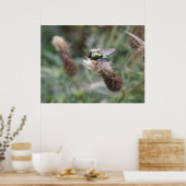 Poster de la macro de la bouteille verte (Cuisine)