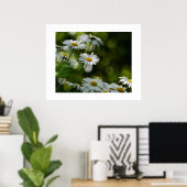 Poster de la marie (Bureau à domicile)