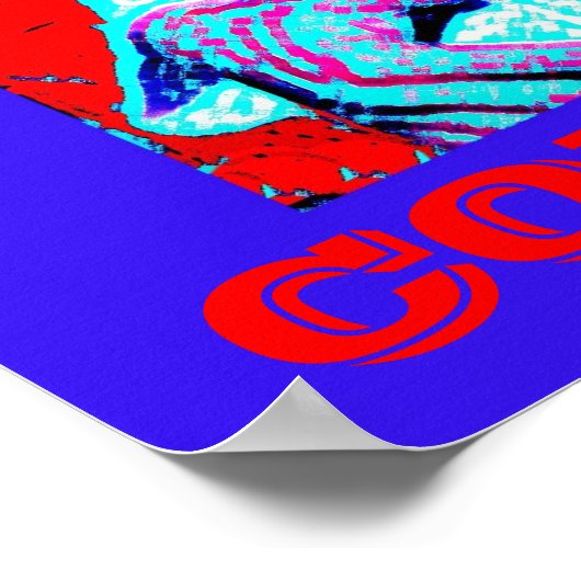 Poster de la Marine (Coin)