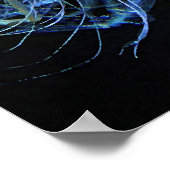 Poster de la méduse (Coin)