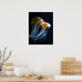 Poster de la méduse (Cuisine)