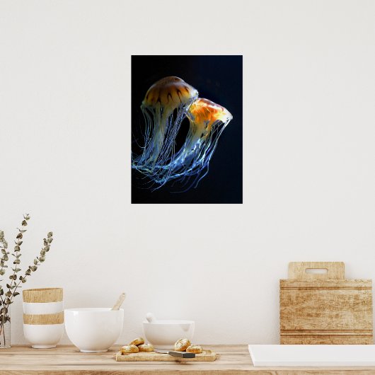 Poster de la méduse (Cuisine)