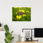 Poster de la mère Shipton Moth (Bureau à domicile)