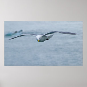 Poster de la Mouette 3