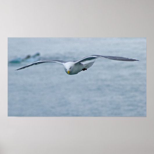 Poster de la Mouette 3 (Devant)