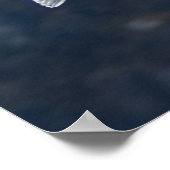 Poster de la Mouette 4 (Coin)