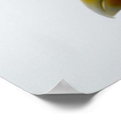 Poster de la Mouette 6 (Coin)