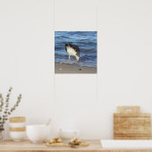 Poster de la Mouette dans l'océan (Cuisine)