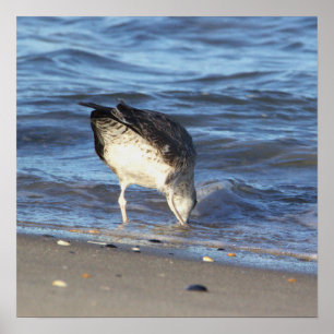 Poster de la Mouette dans l'océan