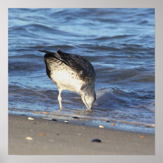Poster de la Mouette dans l'océan (Devant)