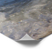 Poster de la Mouette dans l'océan (Coin)