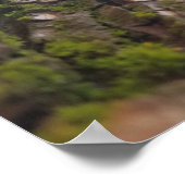 Poster de la mousse sur l'écorce (Coin)