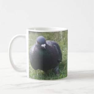 Poster de la Mug Pigeon