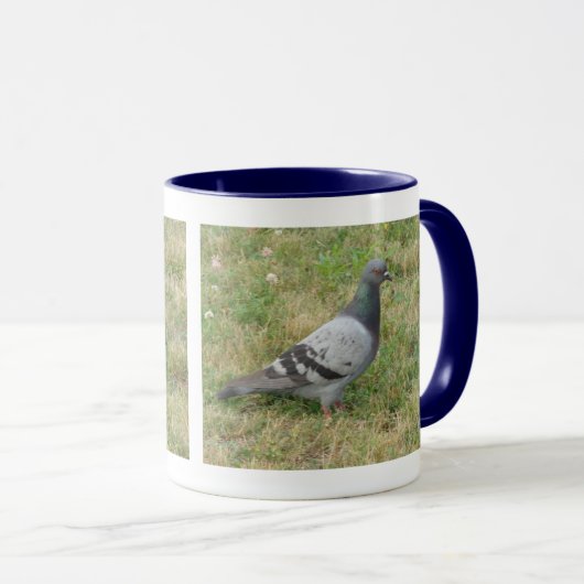 Poster de la Mug Pigeon (Devant droit)