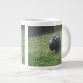 Poster de la Mug Pigeon (Devant droit)
