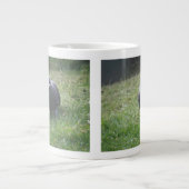 Poster de la Mug Pigeon (Devant)