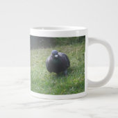 Poster de la Mug Pigeon (Droite)