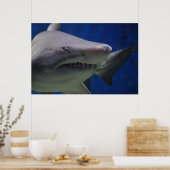 Poster de la muraille de la nature de requin natat (Cuisine)