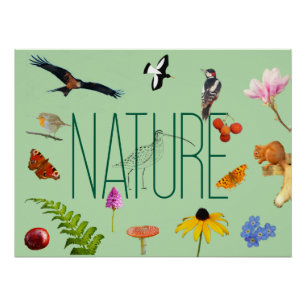Poster de la nature