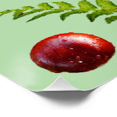 Poster de la nature (Coin)