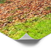 Poster de la nature (Coin)