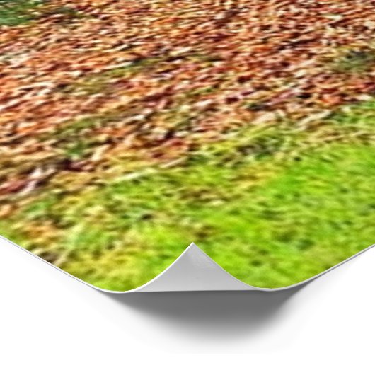 Poster de la nature (Coin)