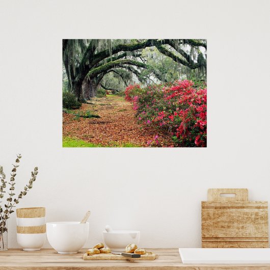 Poster de la nature (Cuisine)