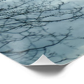Poster de la nature (Coin)