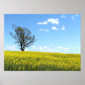 Poster de la nature (Devant)