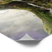 Poster de la nature contre la civilisation (Coin)