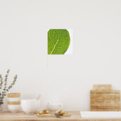 Poster de la nature de la feuille verte sauvage (Cuisine)