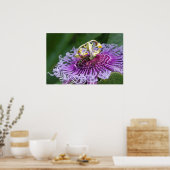 Poster de la nature de l'alimentation du Hornet (Cuisine)